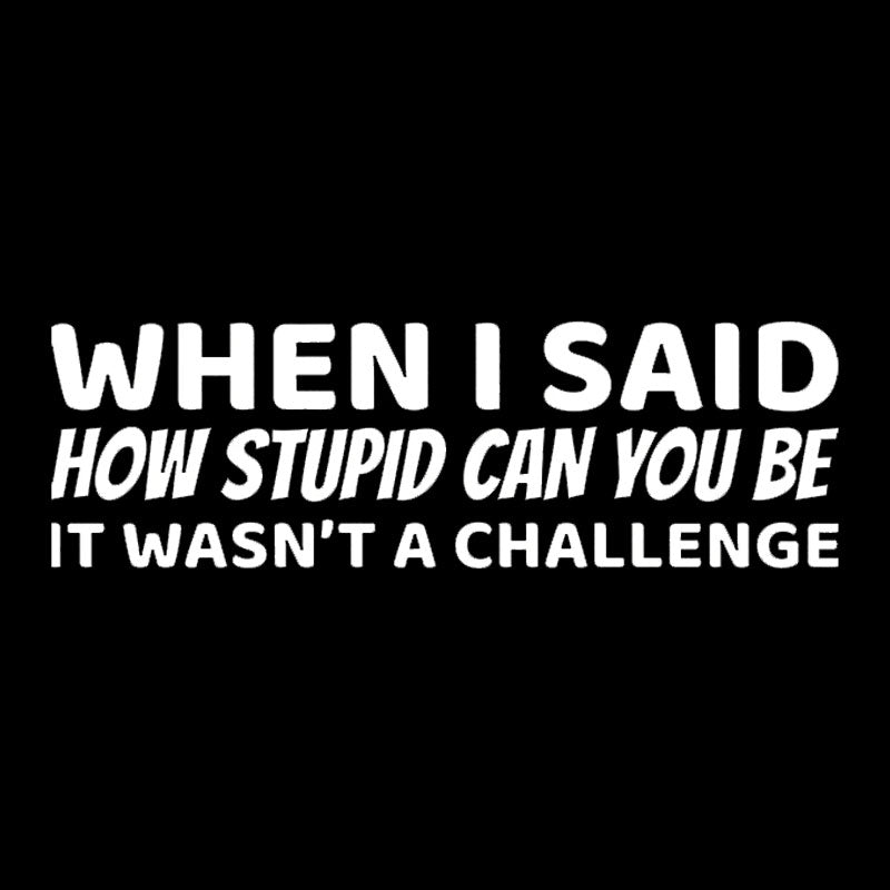 When I Said How Stupid Can You Be It Wasn't A Challenge Nerd T-Shirt