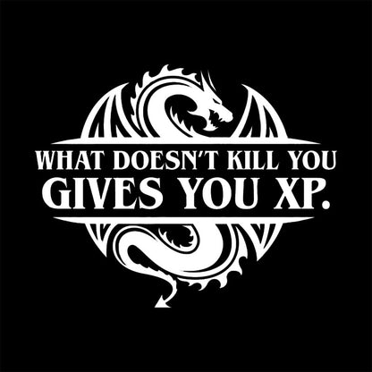What Doesnt Kill You Give You Experience T-Shirt