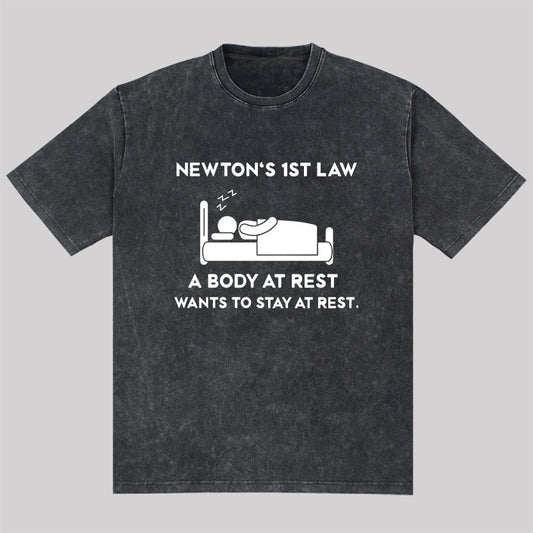 Newton's First Law Washed T-shirt
