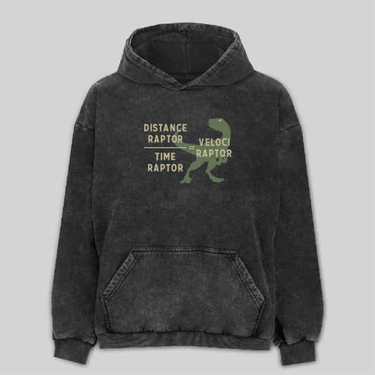 Equations Of Motion Science Velociraptor Washed Hoodie