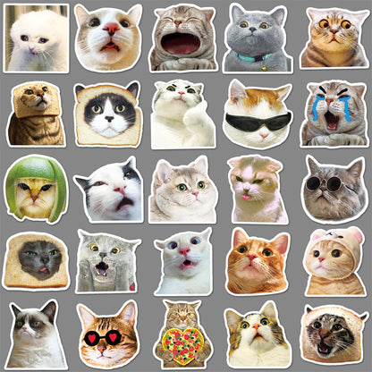 50 Internet Celebrity Cat Graffiti Computer Luggage Stickers
