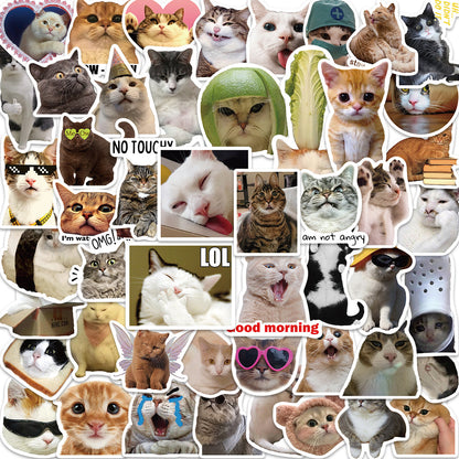 50 Cat Expression Pack Graffiti Computer Luggage Stickers