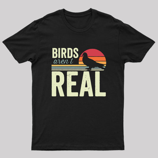 Birds Aren't Real Funny Saying Vintage Sunset T-Shirt