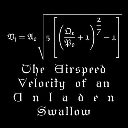 The Airspeed Velocity of an Unladen Swallow Nerd T-Shirt