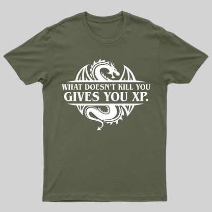 What Doesnt Kill You Give You Experience T-Shirt