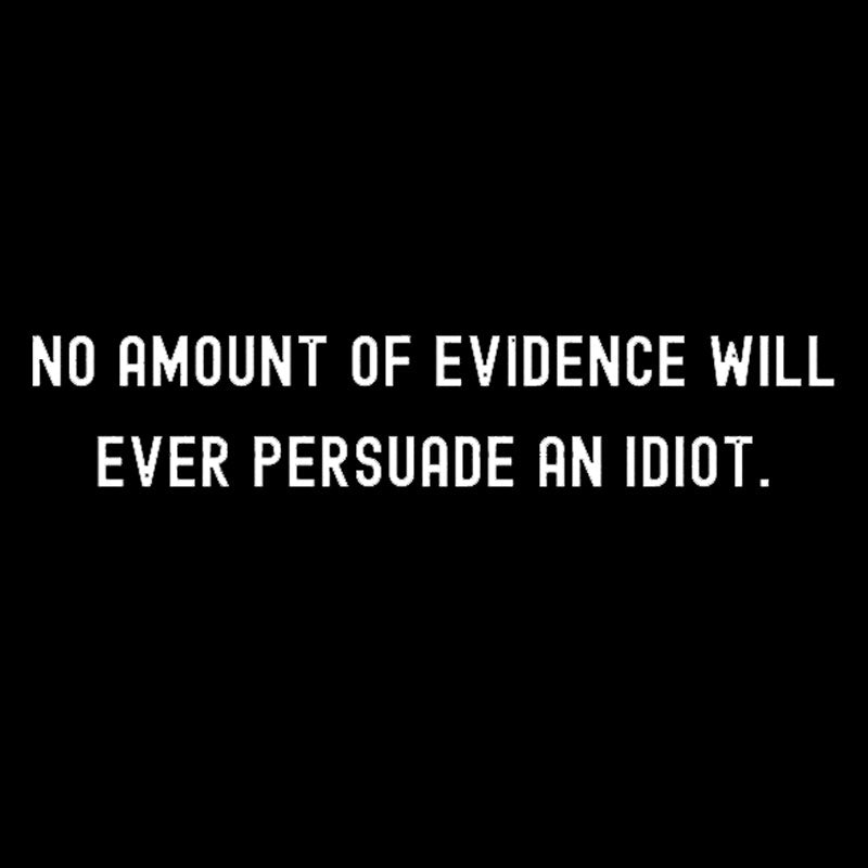 No Amount Of Evidence Will Ever Persuade An Idiot Nerd T-Shirt
