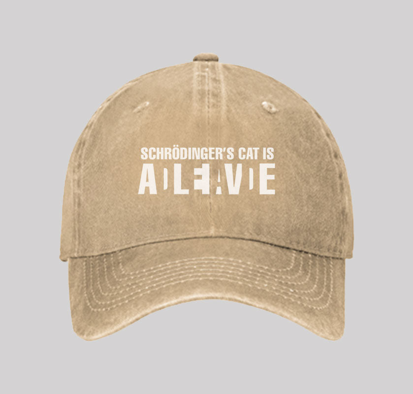 Schrödinger's Cat ADLEIAVDE Washed Vintage Baseball Cap