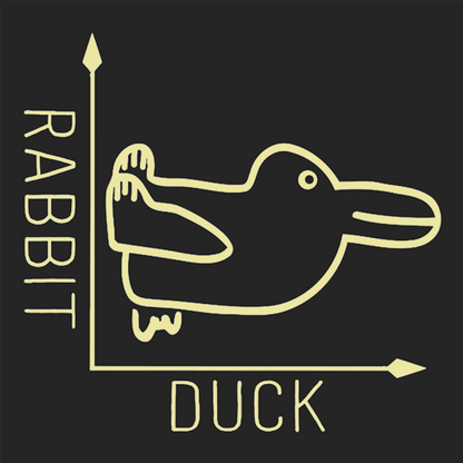 Rabbit or Duck Funny Geek T-Shirt