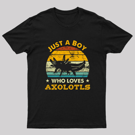 Just A Boy Who Loves Axolotls Geek T-Shirt
