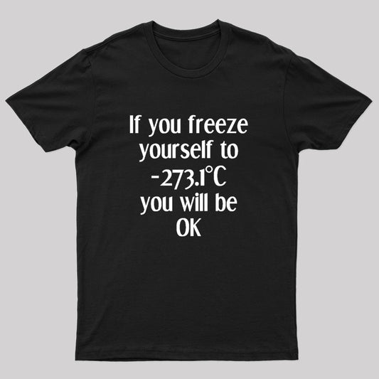 Absolute Zero Humor 0 Kelvins Geek T-Shirt