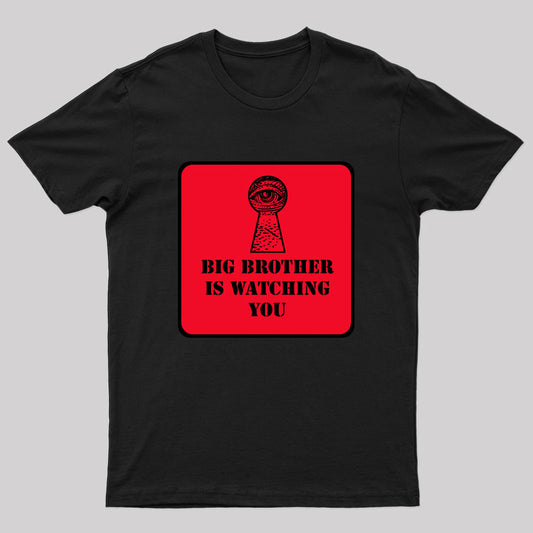 Big Brother is Watching You T-Shirt
