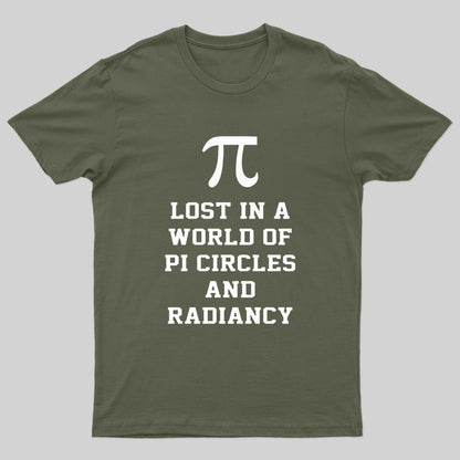 Lost In A World Of Pi Geek T-Shirt