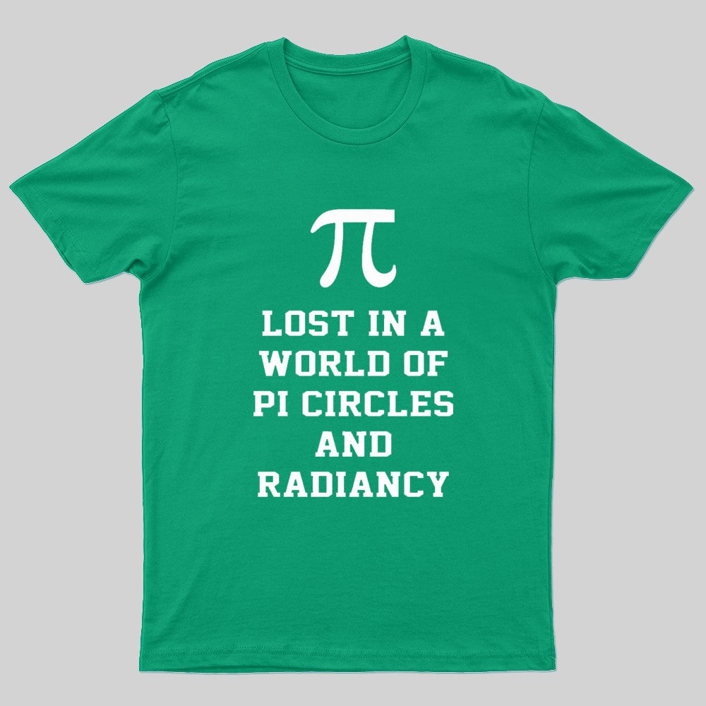 Lost In A World Of Pi Geek T-Shirt