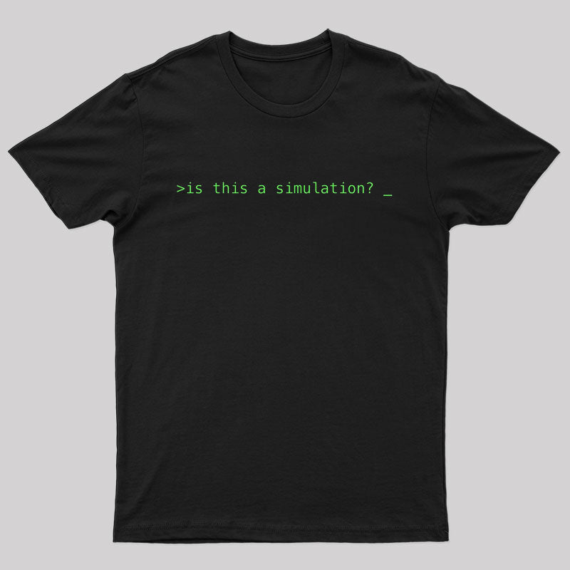 Is This A Simulation T-Shirt