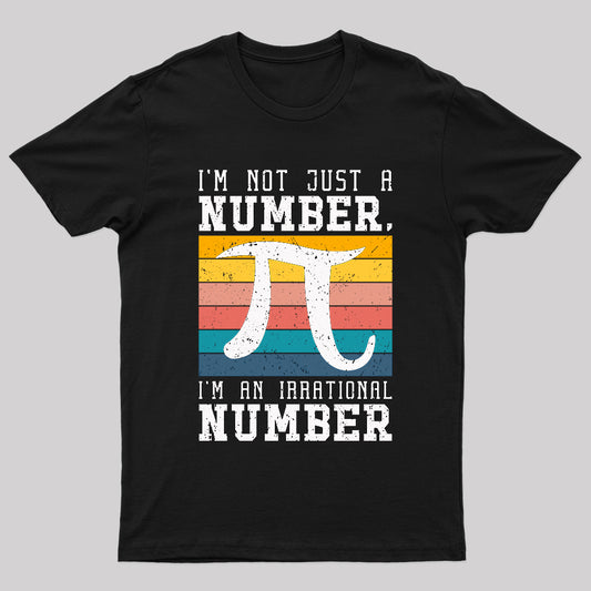 Pi Irrational Number Geek T-Shirt