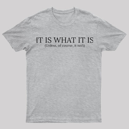 It Is What It Is Nerd T-Shirt