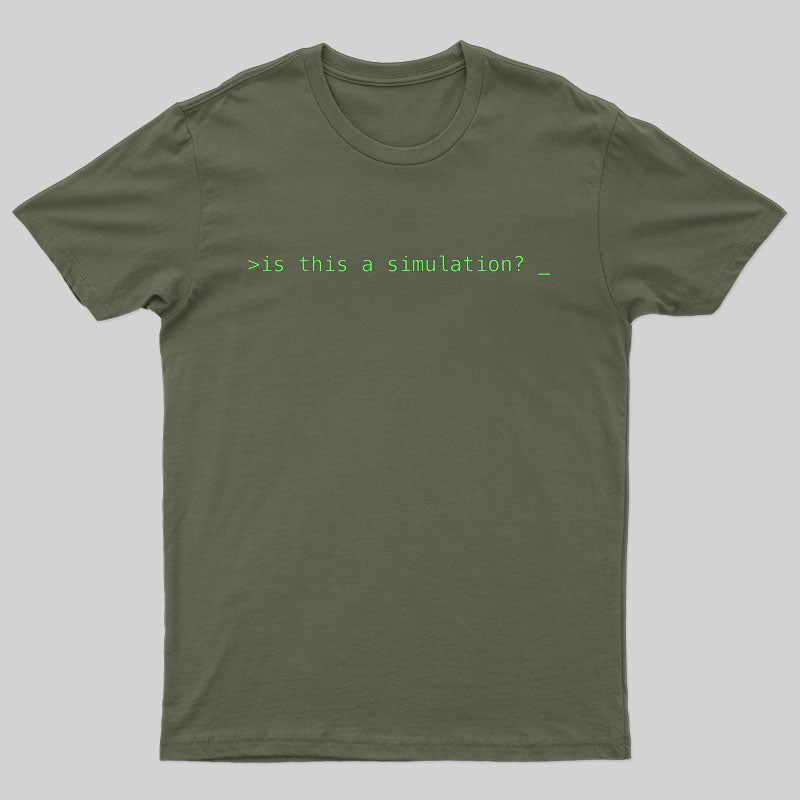 Is This A Simulation T-Shirt