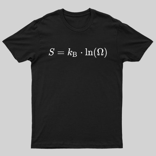 Boltzmann Entropy, statistical physics and thermodynamics T-shirt - Geeksoutfit