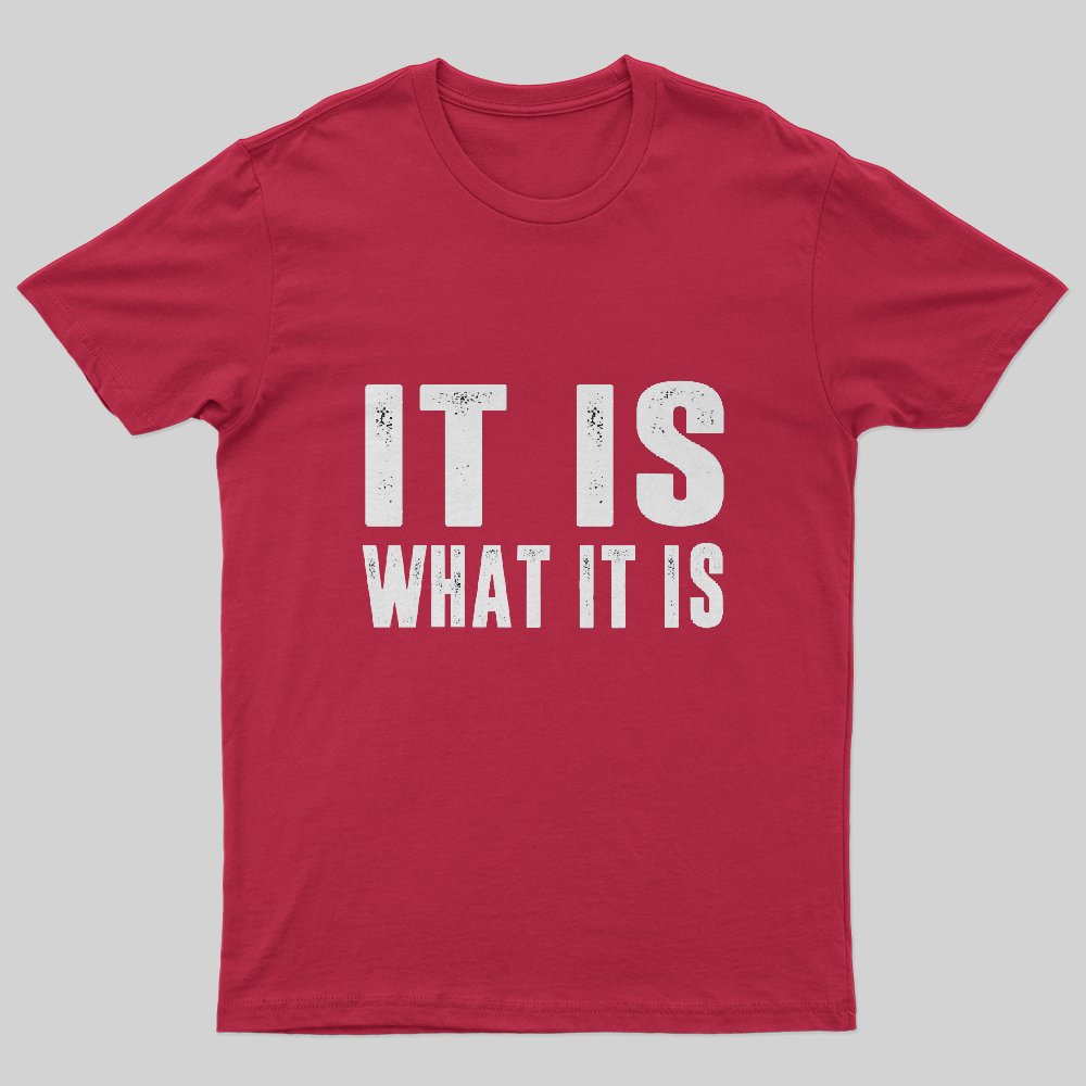 IT IS WHAT IT IS T-Shirt - Geeksoutfit
