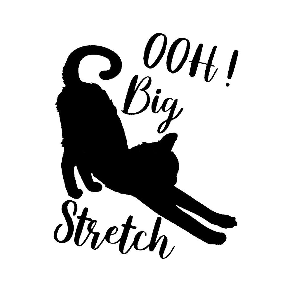 Oh Big Stretch, Funny Cat Motivational Sayings T-Shirt - Geeksoutfit